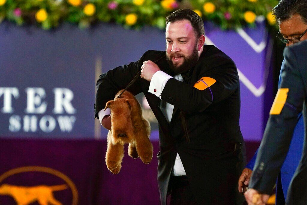 Westminster Dog Show
